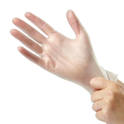 100 Per Box Vinyl Gloves Powder Free Non-Textured