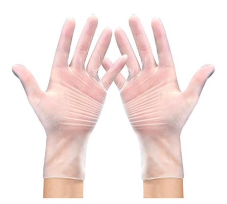 Vinyl General Purpose Gloves OEM Available Disposable