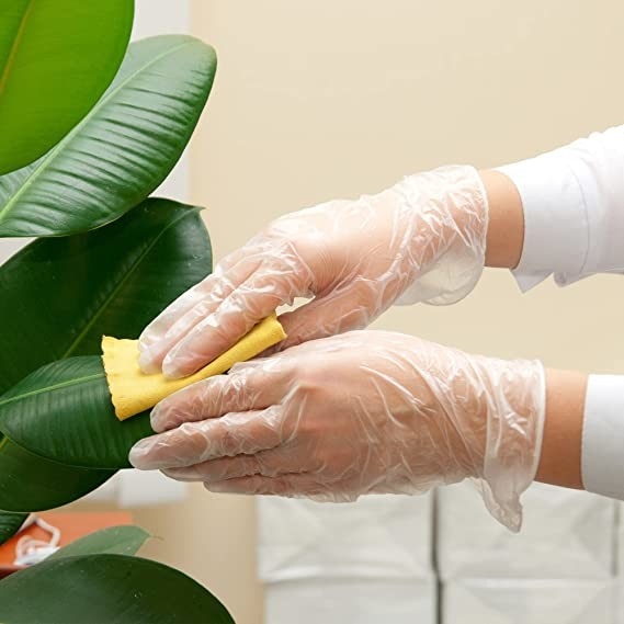 Latex Free Clear Pvc Powder Free Disposable Gloves Household