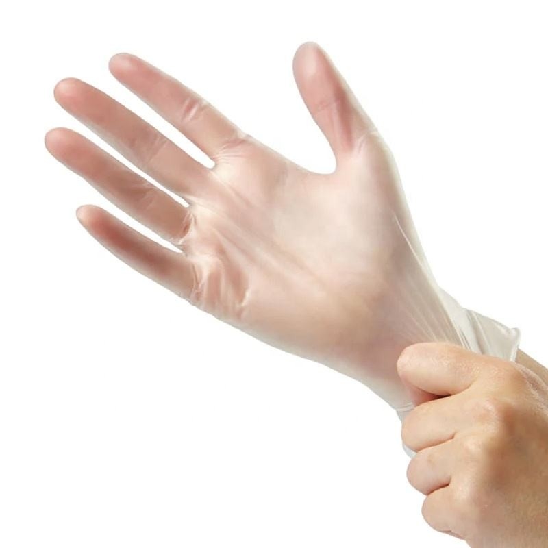 100 Per Box Vinyl Gloves Powder Free Non-Textured